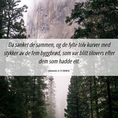 Picture 06 - Johannes 6:13 NORSK - Da sanket de sammen, og de fylte tolv kurver med - Bible Verse Picture