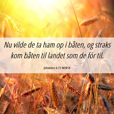 Picture 06 - Johannes 6:21 NORSK - Nu vilde de ta ham op i båten, og straks kom - Bible Verse Picture