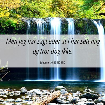 Picture 06 - Johannes 6:36 NORSK - Men jeg har sagt eder at I har sett mig og tror - Bible Verse Picture