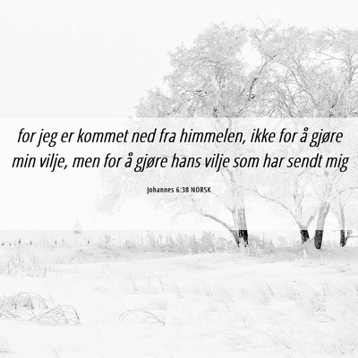 Picture 06 - Johannes 6:38 NORSK - for jeg er kommet ned fra himmelen, ikke for å - Bible Verse Picture