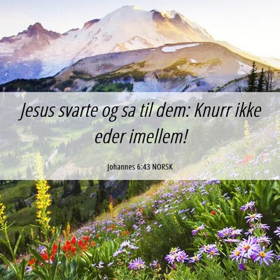 Picture 06 - Johannes 6:43 NORSK - Jesus svarte og sa til dem: Knurr ikke eder - Bible Verse Picture