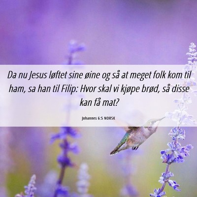 Picture 06 - Johannes 6:5 NORSK - Da nu Jesus løftet sine øine og så at meget - Bible Verse Picture