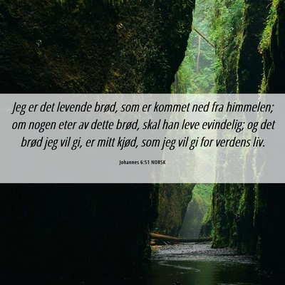 Picture 06 - Johannes 6:51 NORSK - Jeg er det levende brød, som er kommet ned fra - Bible Verse Picture