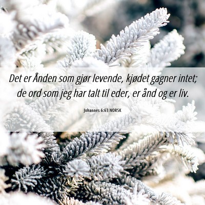 Picture 06 - Johannes 6:63 NORSK - Det er Ånden som gjør levende, kjødet gagner - Bible Verse Picture