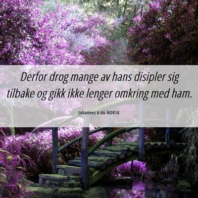 Picture 06 - Johannes 6:66 NORSK - Derfor drog mange av hans disipler sig tilbake og - Bible Verse Picture