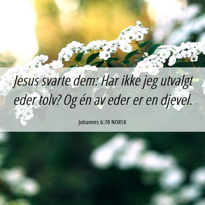 Picture 06 - Johannes 6:70 NORSK - Jesus svarte dem: Har ikke jeg utvalgt eder tolv? - Bible Verse Picture