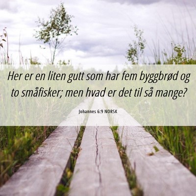 Picture 06 - Johannes 6:9 NORSK - Her er en liten gutt som har fem byggbrød og to - Bible Verse Picture