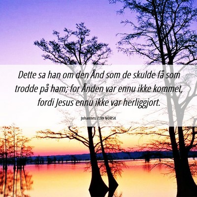Picture 06 - Johannes 7:39 NORSK - Dette sa han om den Ånd som de skulde få som - Bible Verse Picture