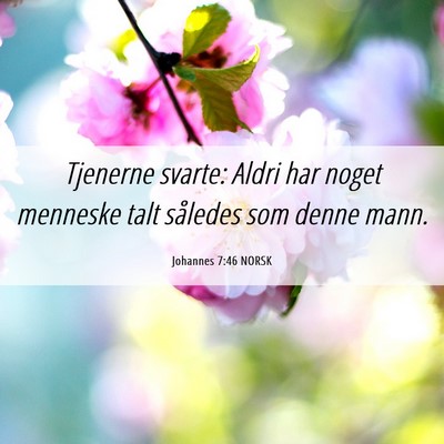 Picture 06 - Johannes 7:46 NORSK - Tjenerne svarte: Aldri har noget menneske talt - Bible Verse Picture