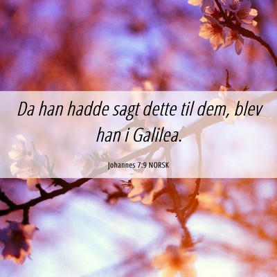 Picture 06 - Johannes 7:9 NORSK - Da han hadde sagt dette til dem, blev han i - Bible Verse Picture