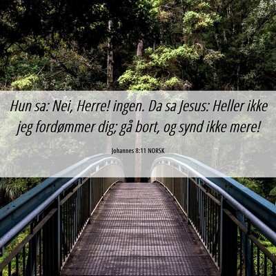 Picture 06 - Johannes 8:11 NORSK - Hun sa: Nei, Herre! ingen. Da sa Jesus: Heller - Bible Verse Picture