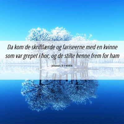 Picture 06 - Johannes 8:3 NORSK - Da kom de skriftlærde og fariseerne med en - Bible Verse Picture