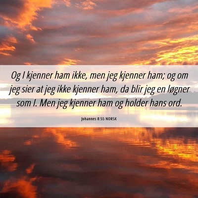Picture 06 - Johannes 8:55 NORSK - Og I kjenner ham ikke, men jeg kjenner ham; og om - Bible Verse Picture