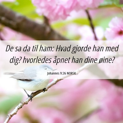 Picture 06 - Johannes 9:26 NORSK - De sa da til ham: Hvad gjorde han med dig? - Bible Verse Picture
