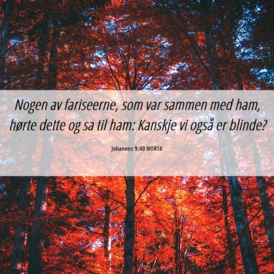 Picture 06 - Johannes 9:40 NORSK - Nogen av fariseerne, som var sammen med ham, - Bible Verse Picture
