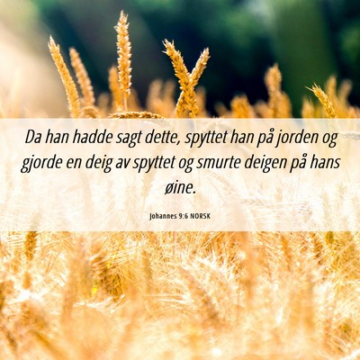 Picture 06 - Johannes 9:6 NORSK - Da han hadde sagt dette, spyttet han på jorden - Bible Verse Picture