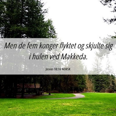 Picture 06 - Josvas 10:16 NORSK - Men de fem konger flyktet og skjulte sig i hulen - Bible Verse Picture
