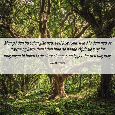 Picture 06 - Josvas 10:27 NORSK - Men på den tid solen gikk ned, bød Josva sine - Bible Verse Picture