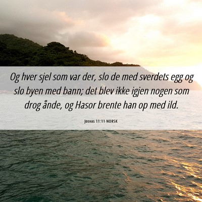 Picture 06 - Josvas 11:11 NORSK - Og hver sjel som var der, slo de med sverdets egg - Bible Verse Picture