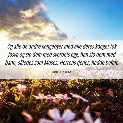 Picture 06 - Josvas 11:12 NORSK - Og alle de andre kongebyer med alle deres konger - Bible Verse Picture