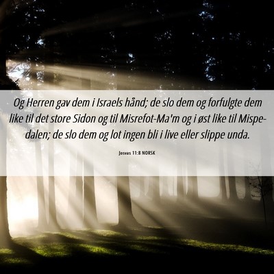 Picture 06 - Josvas 11:8 NORSK - Og Herren gav dem i Israels hånd; de slo dem og - Bible Verse Picture