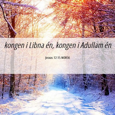 Picture 06 - Josvas 12:15 NORSK - kongen i Libna én, kongen i Adullam - Bible Verse Picture