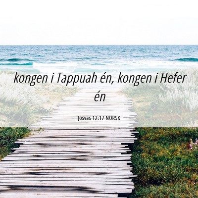 Picture 06 - Josvas 12:17 NORSK - kongen i Tappuah én, kongen i Hefer - Bible Verse Picture