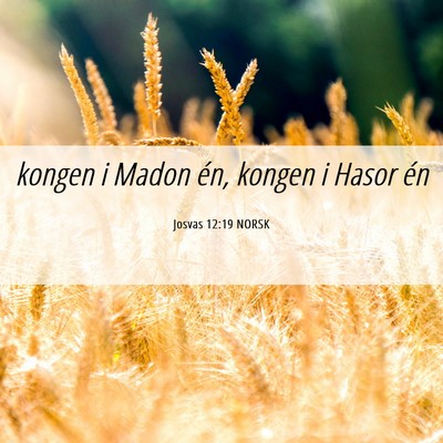 Picture 06 - Josvas 12:19 NORSK - kongen i Madon én, kongen i Hasor - Bible Verse Picture