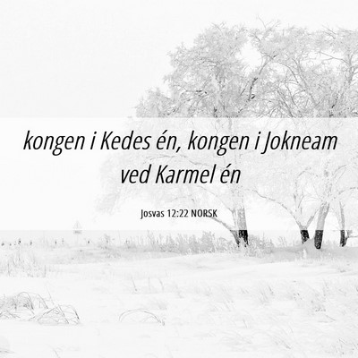 Picture 06 - Josvas 12:22 NORSK - kongen i Kedes én, kongen i Jokneam ved Karmel - Bible Verse Picture