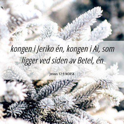 Picture 06 - Josvas 12:9 NORSK - kongen i Jeriko én, kongen i Ai, som ligger ved - Bible Verse Picture