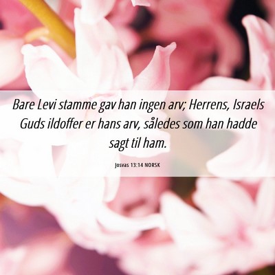 Picture 06 - Josvas 13:14 NORSK - Bare Levi stamme gav han ingen arv; Herrens, - Bible Verse Picture