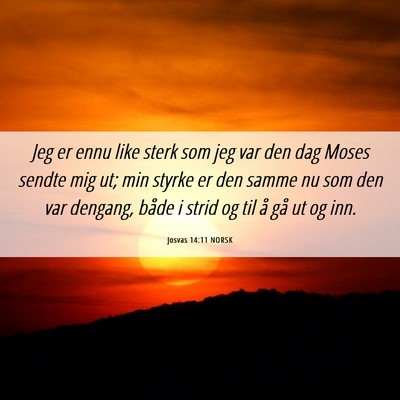 Picture 06 - Josvas 14:11 NORSK - Jeg er ennu like sterk som jeg var den dag Moses - Bible Verse Picture