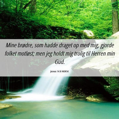 Picture 06 - Josvas 14:8 NORSK - Mine brødre, som hadde draget op med mig, gjorde - Bible Verse Picture