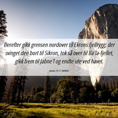 Picture 06 - Josvas 15:11 NORSK - Derefter gikk grensen nordover til Ekrons - Bible Verse Picture