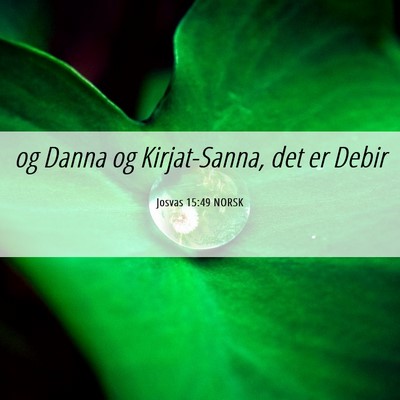 Picture 06 - Josvas 15:49 NORSK - og Danna og Kirjat-Sanna, det er - Bible Verse Picture