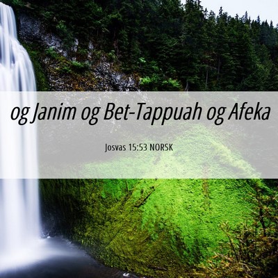 Picture 06 - Josvas 15:53 NORSK - og Janim og Bet-Tappuah og - Bible Verse Picture