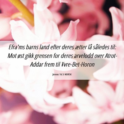 Picture 06 - Josvas 16:5 NORSK - Efra'ms barns land efter deres ætter lå - Bible Verse Picture