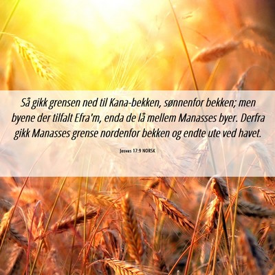 Picture 06 - Josvas 17:9 NORSK - Så gikk grensen ned til Kana-bekken, sønnenfor - Bible Verse Picture