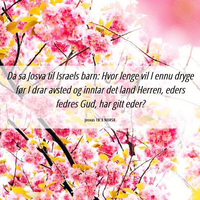 Picture 06 - Josvas 18:3 NORSK - Da sa Josva til Israels barn: Hvor lenge vil I - Bible Verse Picture