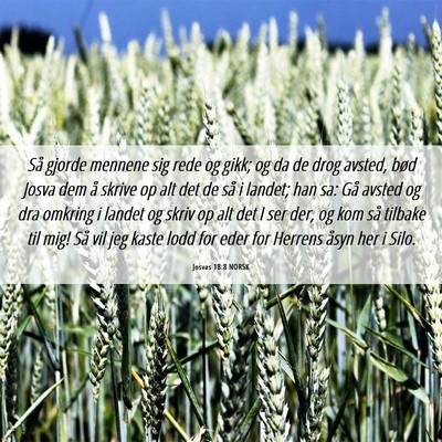 Picture 06 - Josvas 18:8 NORSK - Så gjorde mennene sig rede og gikk; og da de - Bible Verse Picture
