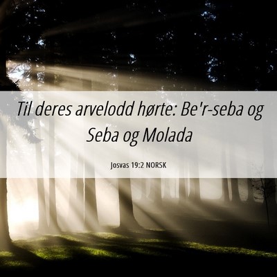 Picture 06 - Josvas 19:2 NORSK - Til deres arvelodd hørte: Be'r-seba og Seba og - Bible Verse Picture