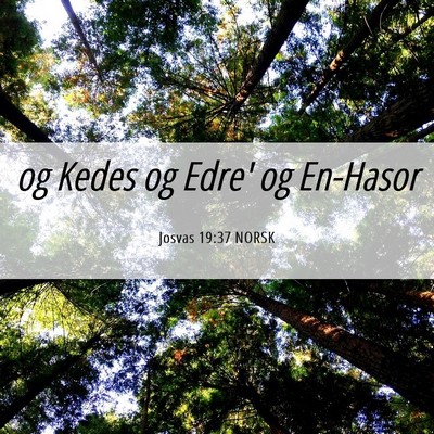 Picture 06 - Josvas 19:37 NORSK - og Kedes og Edre' og - Bible Verse Picture