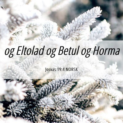 Picture 06 - Josvas 19:4 NORSK - og Eltolad og Betul og - Bible Verse Picture
