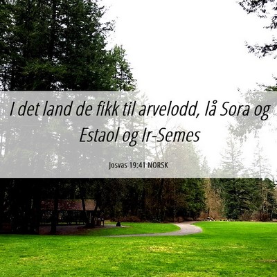 Picture 06 - Josvas 19:41 NORSK - I det land de fikk til arvelodd, lå Sora og - Bible Verse Picture