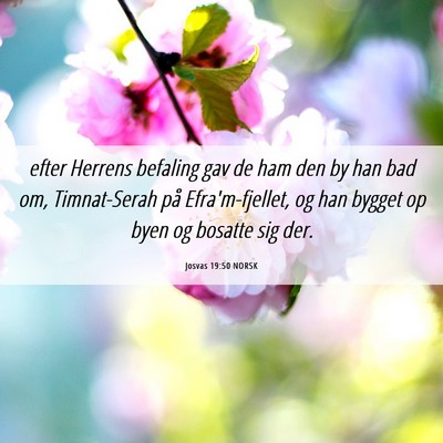 Picture 06 - Josvas 19:50 NORSK - efter Herrens befaling gav de ham den by han bad - Bible Verse Picture