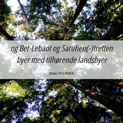 Picture 06 - Josvas 19:6 NORSK - og Bet-Lebaot og Saruhen(-)tretten byer med - Bible Verse Picture