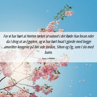Picture 06 - Josvas 2:10 NORSK - For vi har hørt at Herren tørket ut vannet i - Bible Verse Picture