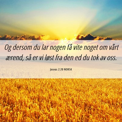 Picture 06 - Josvas 2:20 NORSK - Og dersom du lar nogen få vite noget om vårt - Bible Verse Picture