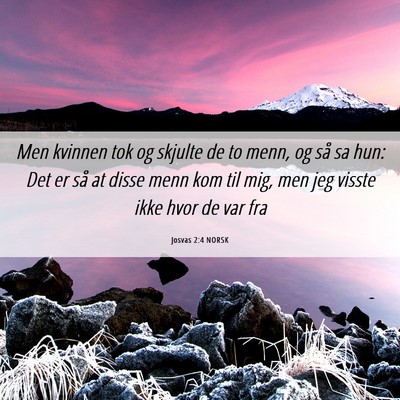 Picture 06 - Josvas 2:4 NORSK - Men kvinnen tok og skjulte de to menn, og så sa - Bible Verse Picture