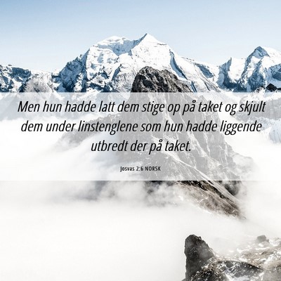 Picture 06 - Josvas 2:6 NORSK - Men hun hadde latt dem stige op på taket og - Bible Verse Picture